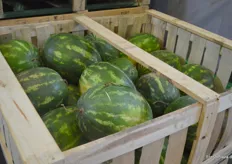 Wassermelonen werden nun saisonbedingt vorwiegend aus Spanien und Marokko bezogen.