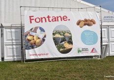 Fontane, eine bewährte Pommes-Sorte aus dem Agrico-Katalog.